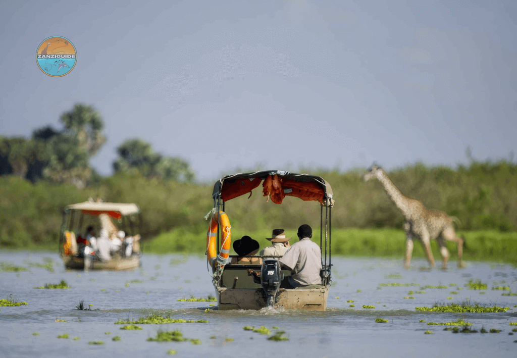 Parc National de Nyerere Safaris Zanziguide