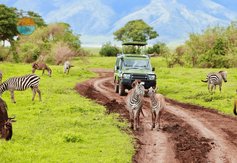 Parc National de Tarangire safari Zanziguide