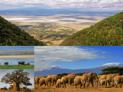 Parcs nationaux du nord meilleurs safaris Tanzanie ZANZIGUIDE