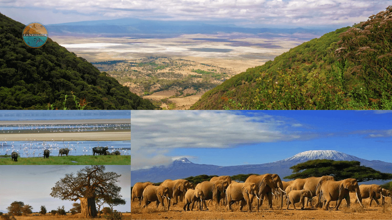 Parcs nationaux du nord meilleurs safaris Tanzanie ZANZIGUIDE