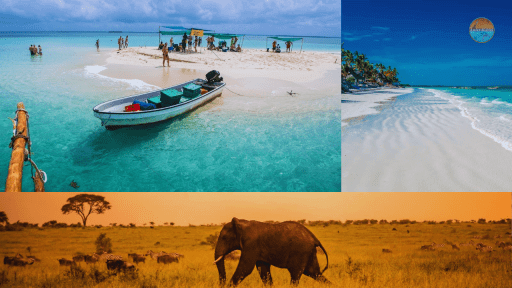 Des safaris sur mesure avec ZANZIGUIDE vivez votre rêve