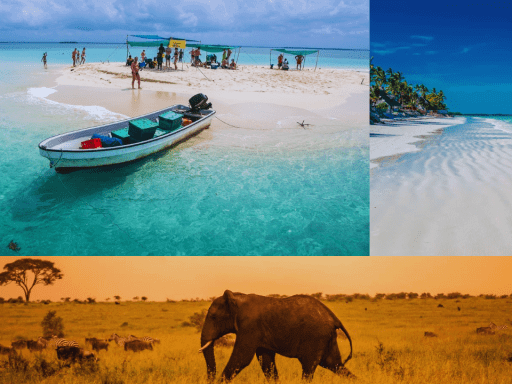 Des safaris sur mesure avec ZANZIGUIDE vivez votre rêve