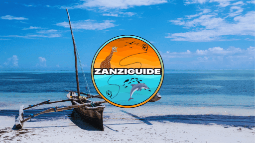 ZANZIGUIDE partage logo vignette