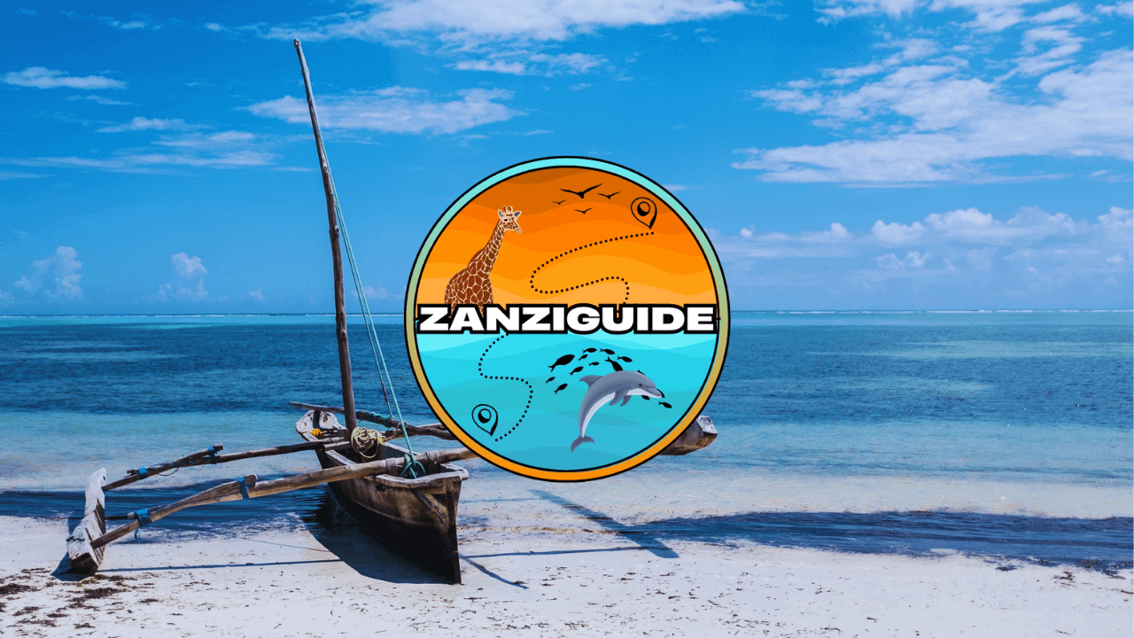 ZANZIGUIDE partage logo vignette