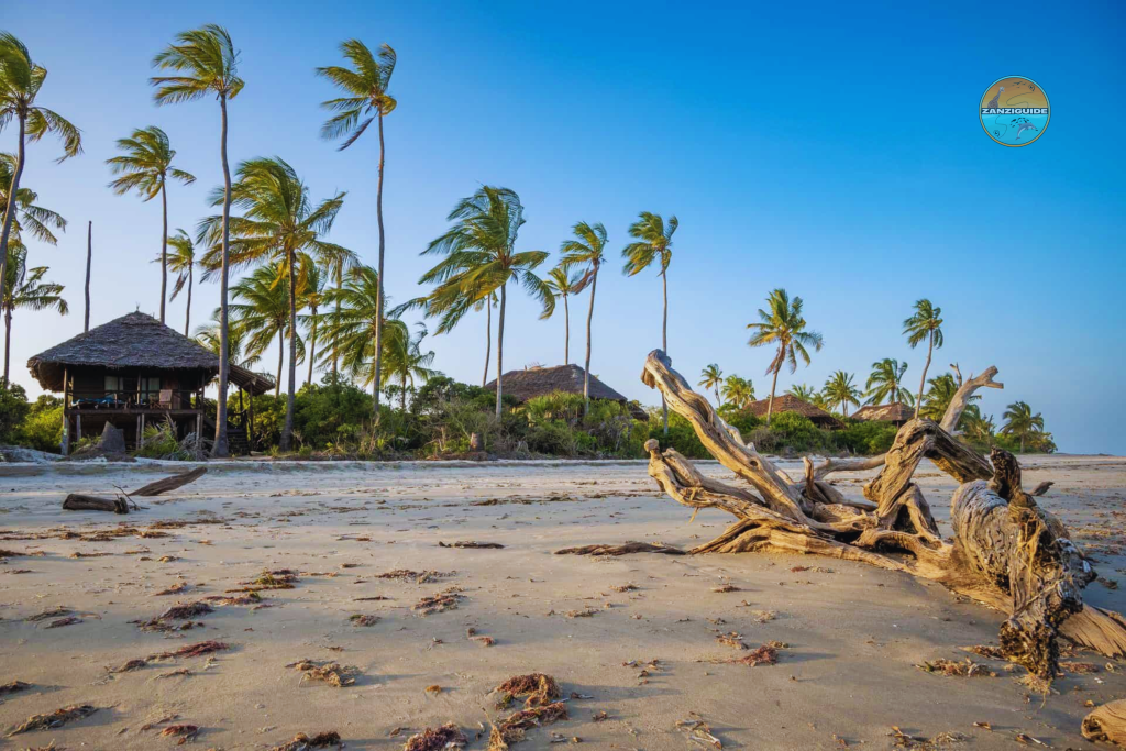 Parc National de Saadani Zanzibar plage ZANZIGUIDE