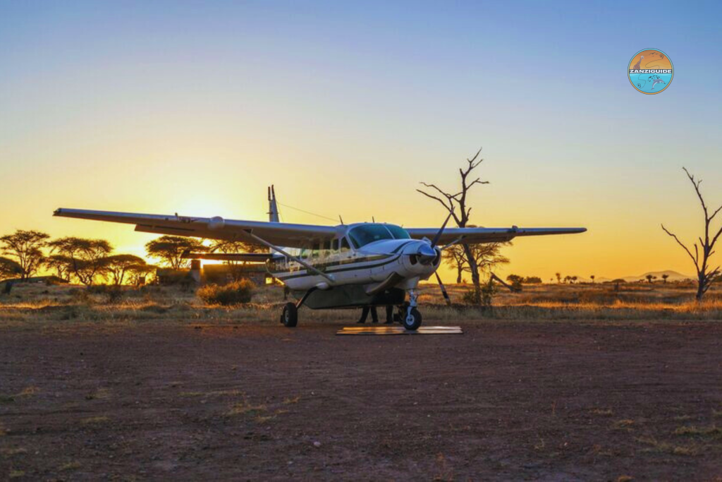 Safari en avion Zanzibar ZANZIGUIDE