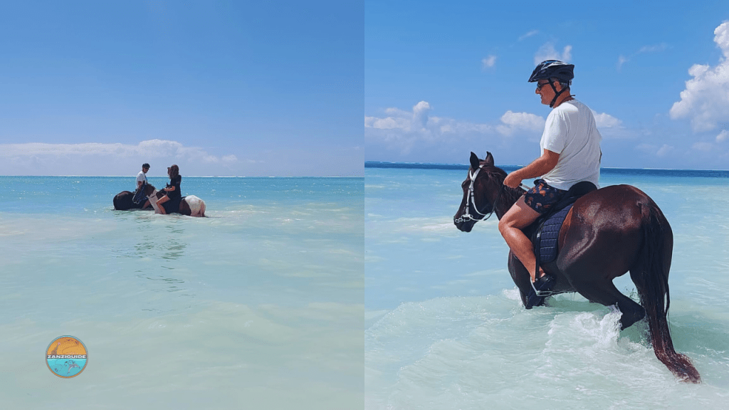 ZANZIGUIDE balade à cheval père fille