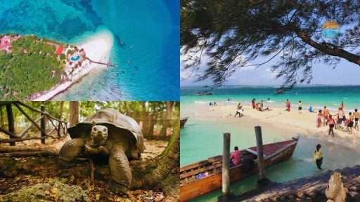 Changuu island visite activités ZANZIGUIDE Zanzibar