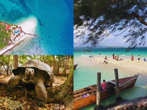 Changuu island visite activités ZANZIGUIDE Zanzibar